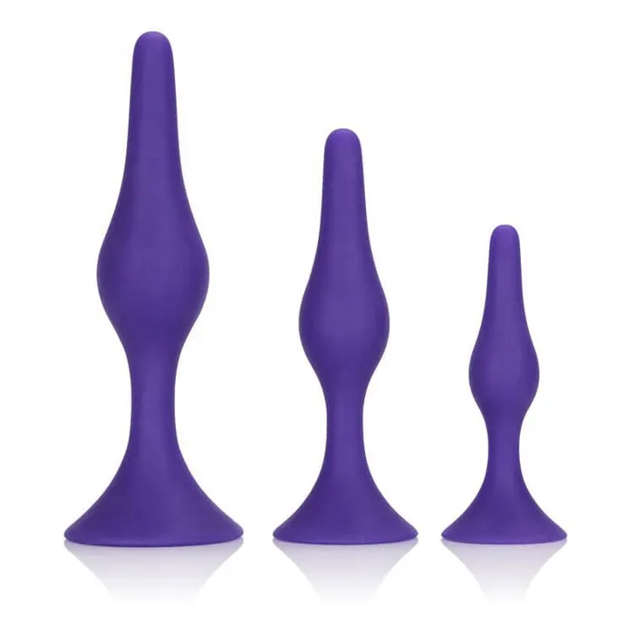 Booty Call Booty Trainer Kit Purple California Exotic Novelties Anal