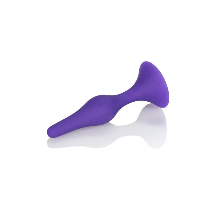 Booty Call Booty Trainer Kit Purple California Exotic Novelties Anal