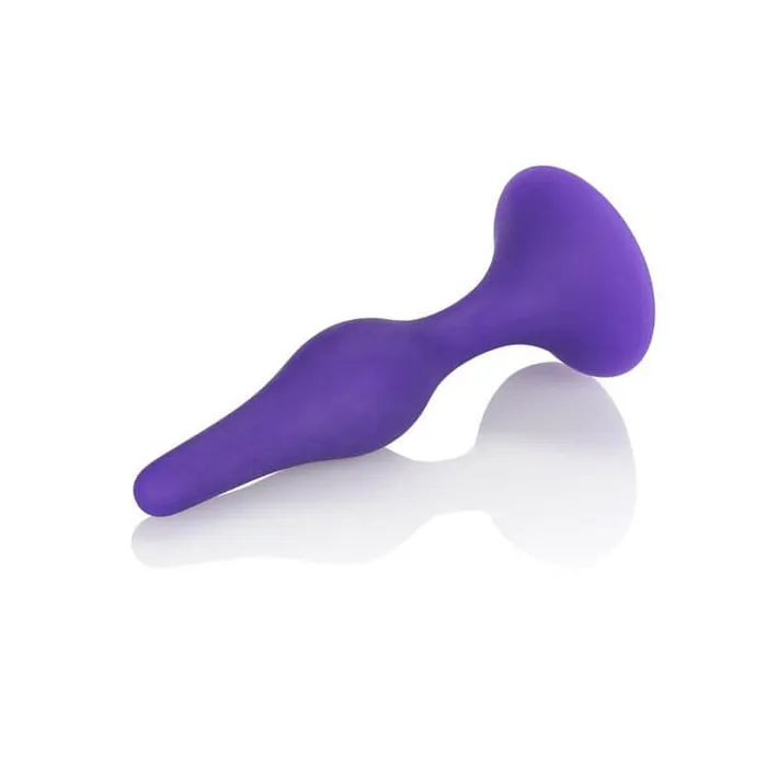 Booty Call Booty Trainer Kit Purple California Exotic Novelties Anal