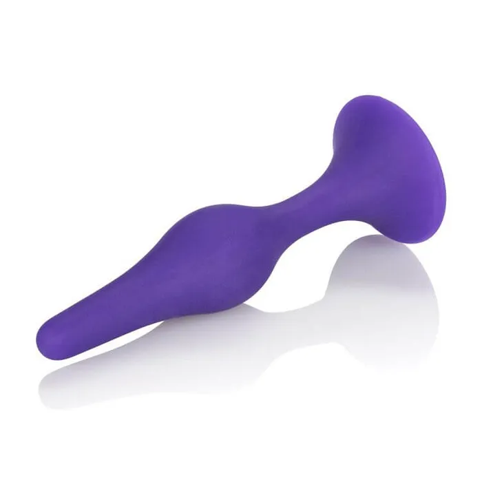 Booty Call Booty Trainer Kit Purple California Exotic Novelties Anal